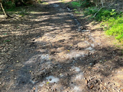 23-09-17 12-43-25 7003